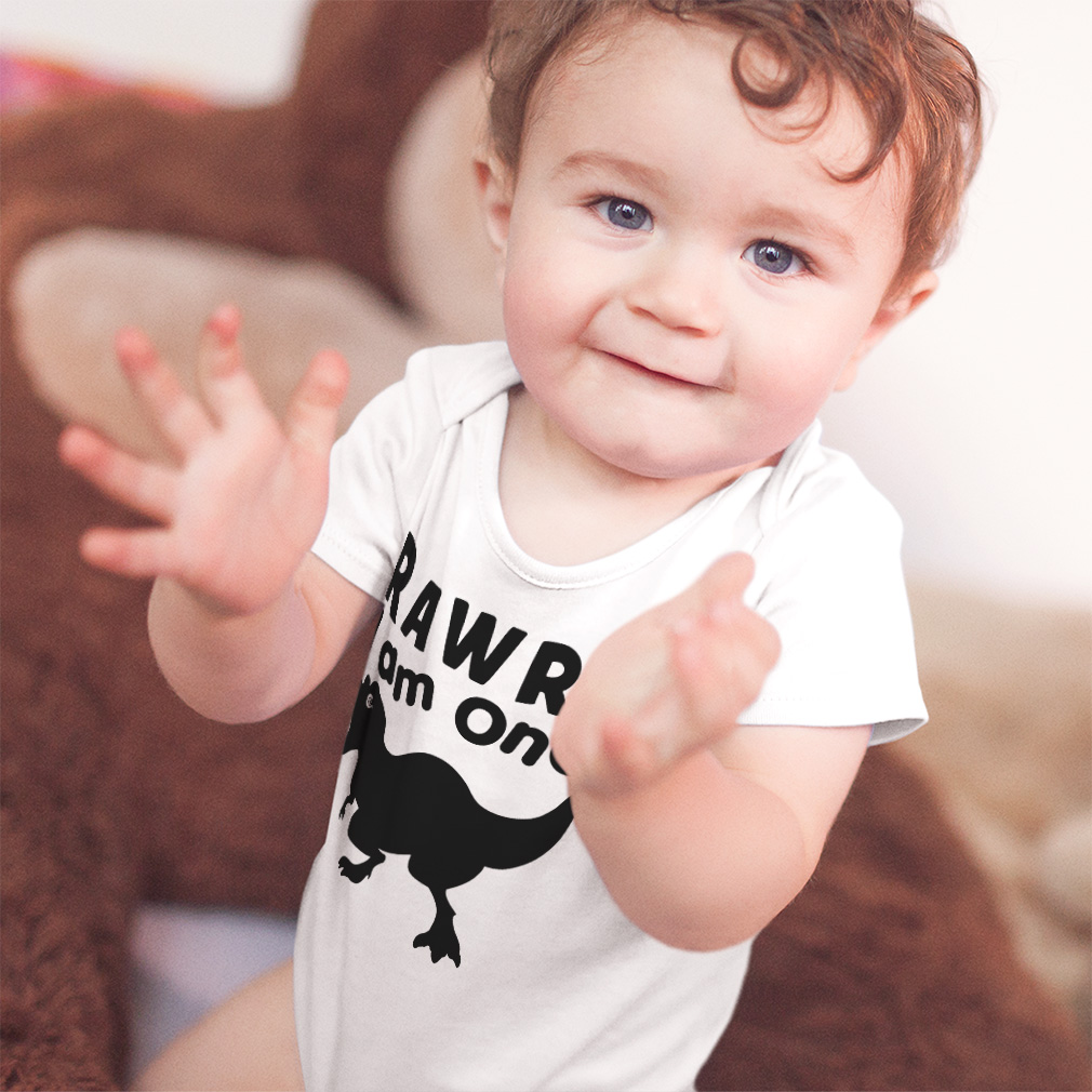 Organic Cotton Baby Bodysuit – America's Baby – USA Merchandise
